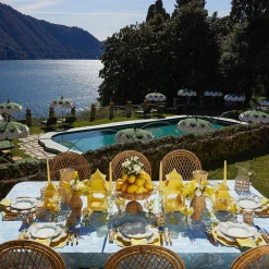 Blue Coral Starter Plates (Set Of 4)