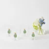 Cactus Water Glasses (Set 4)