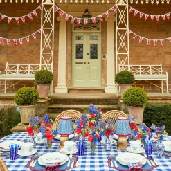 Camilla Blue & Red Linen Placemats (Set Of 4)