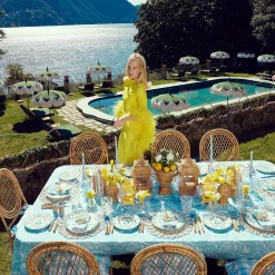 Cara Woven Placemats (Set Of 4)