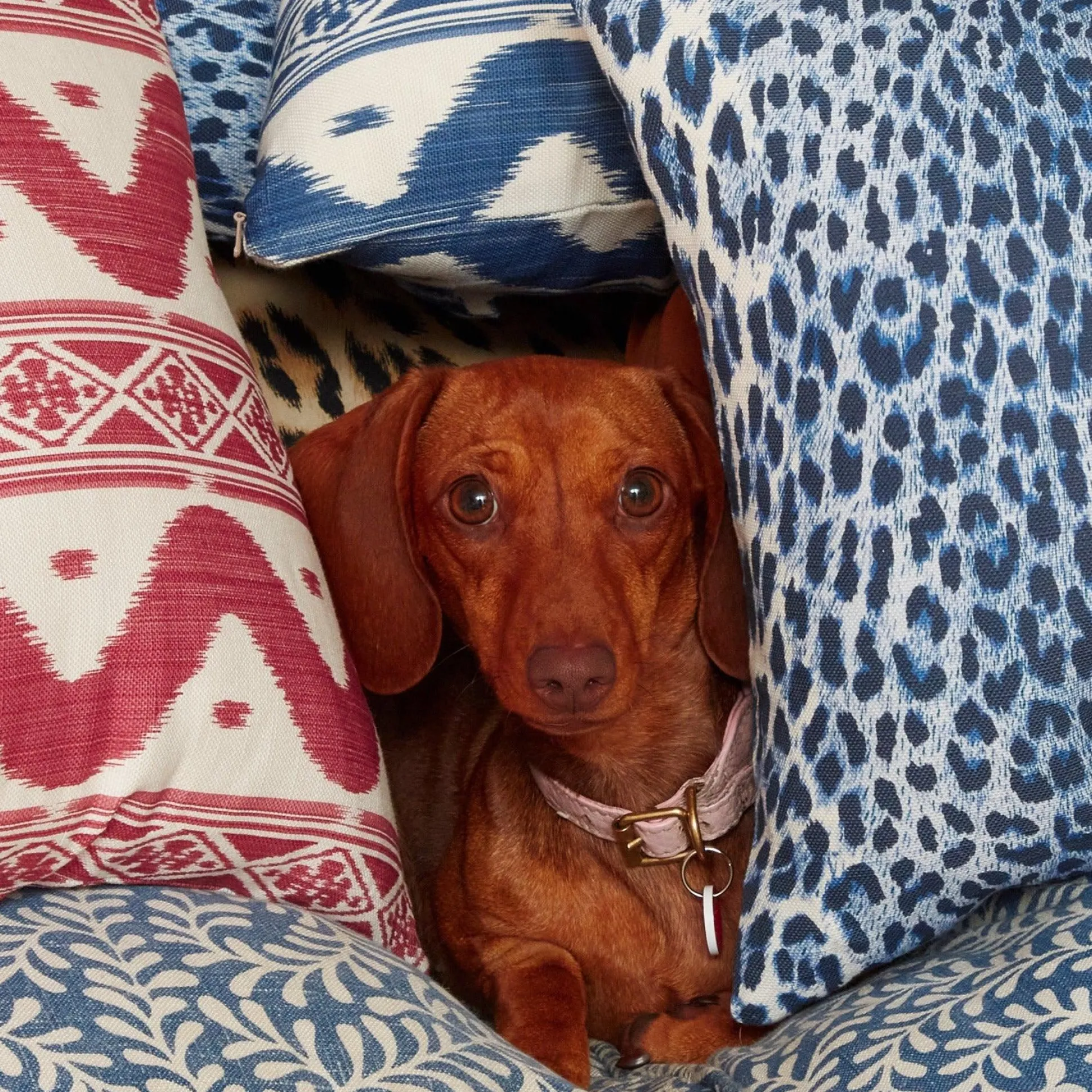 Cobalt Blue Leopard Fabric