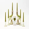Green Parrot Candlescape