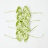 Green Saddle Stitch Napkin Bows (Set Of 4)