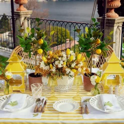 Mimosa White Linen Placemats & Napkins (Set Of 4)