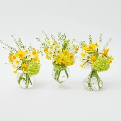 Nancy Bud Vase (Set Of 3)