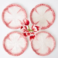 Pink Capri Lettuce Starter Plate (Set Of 4)