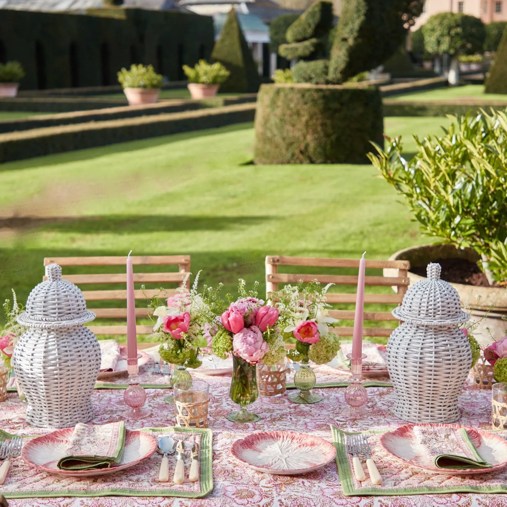Pink Capri Lettuce Starter Plate
