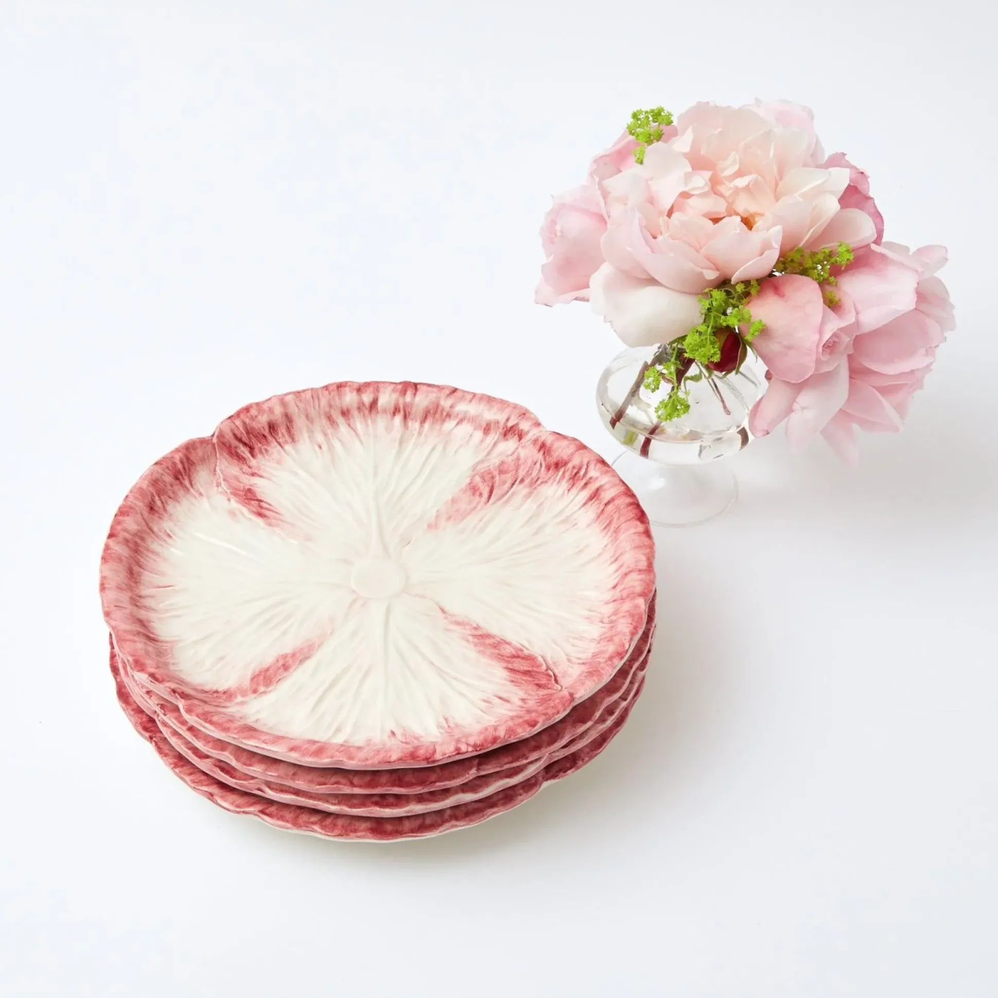 Pink Capri Lettuce Starter Plate