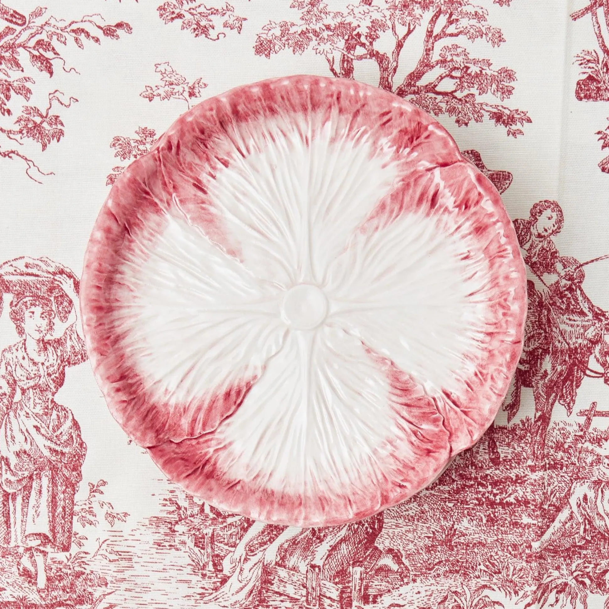 Pink Capri Lettuce Starter Plate