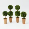 Potted Boxwood Decoration Set