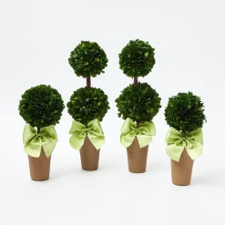 Potted Boxwood With Green Bow Decoration Set